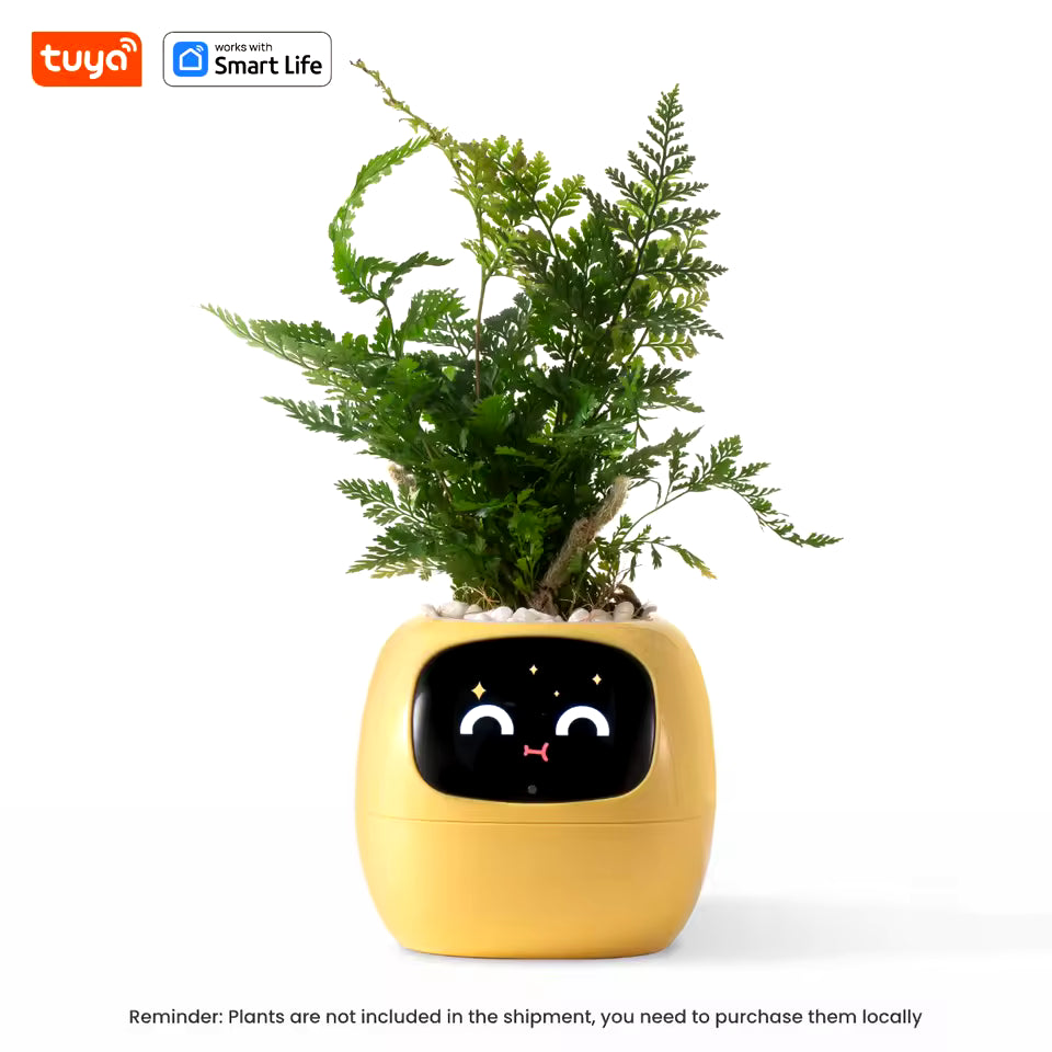 Smart Life Planter