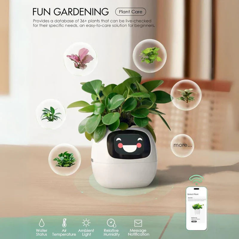 Smart Life Planter