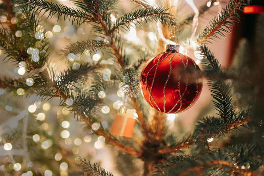 Celebrate Christmas Early with Veluna Decor: Create a Cozy Holiday Home