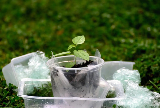 Every Order Plants a Tree – Decorate with Purpose