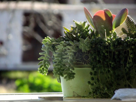 Why Home Decor is Self-Care: Designing a Space That Nurtures Your Soul