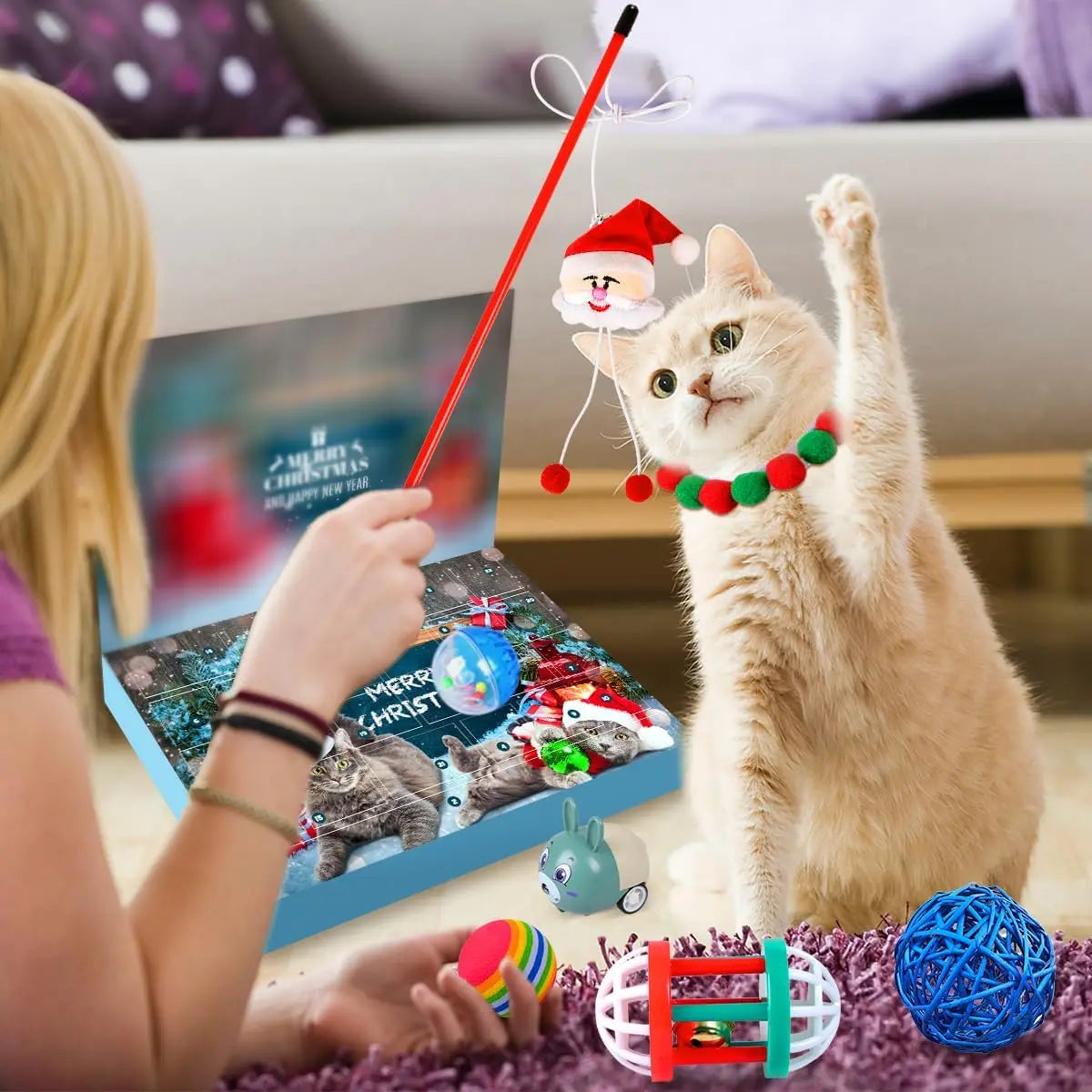 24 Day Countdown Gift for Cats