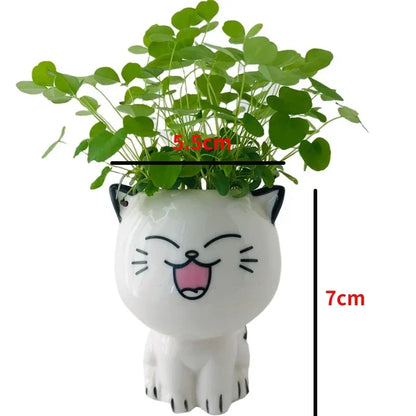 Mini Ceramic Cat Flowerpot