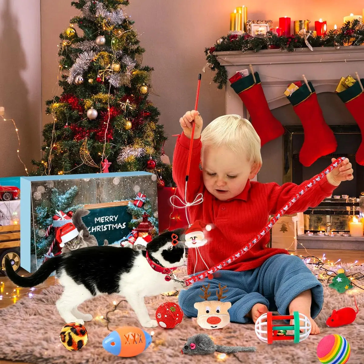 24 Day Countdown Gift for Cats