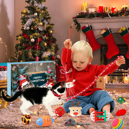 24 Day Countdown Gift for Cats