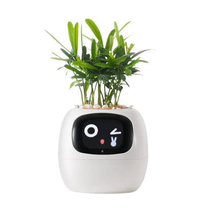 Smart Life Planter