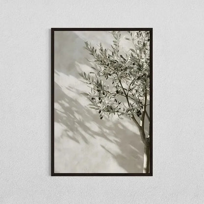 Mediterranean Olive Tree Canvas Print (No Frame)