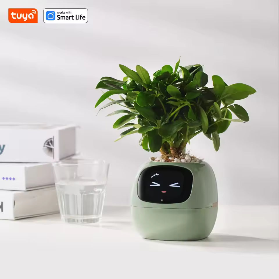 Smart Life Planter