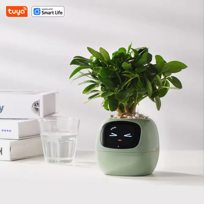 Smart Life Planter