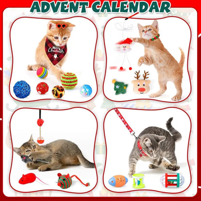24 Day Countdown Gift for Cats