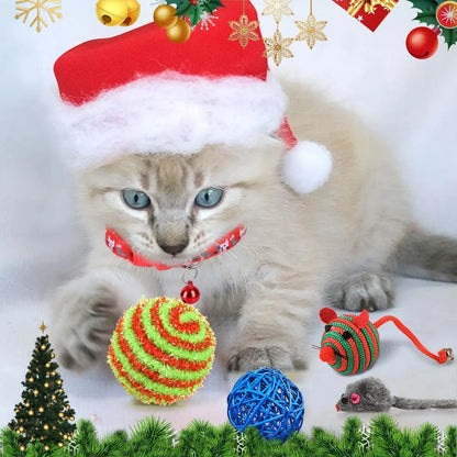 24 Day Countdown Gift for Cats