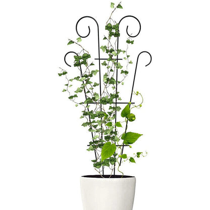 Plant Support Stakes Trellis Frame
