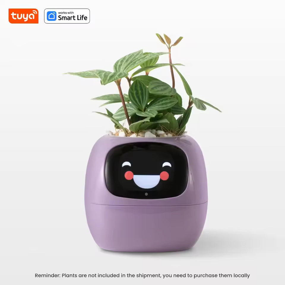 Smart Life Planter
