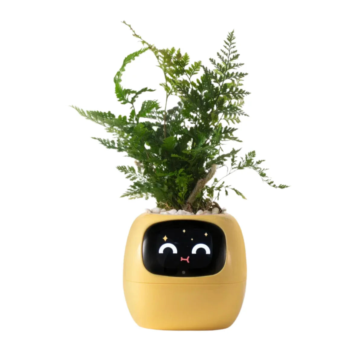 Smart Life Planter