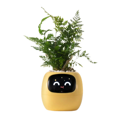Smart Life Planter