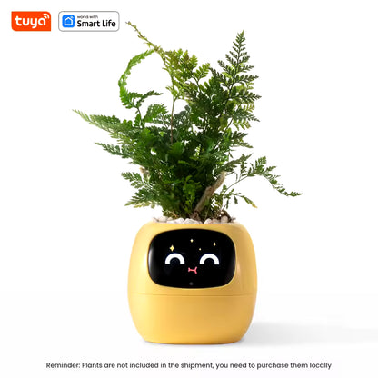 Smart Life Planter