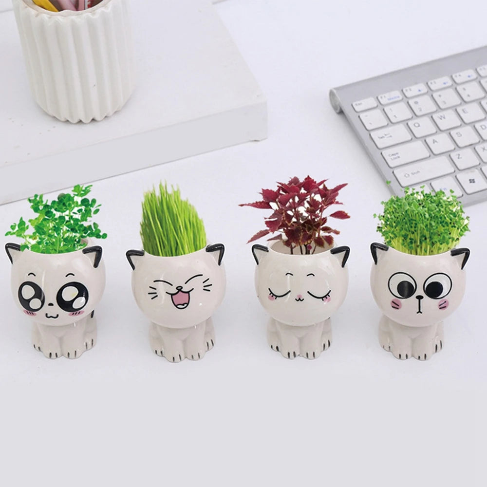 Mini Ceramic Cat Flowerpot