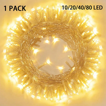 LED Battery Powered String Lights
