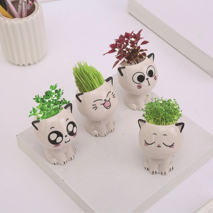 Mini Ceramic Cat Flowerpot