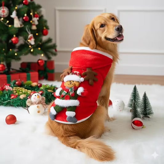 Dog wearing a Christmas stocking with a teddy bear toy, surrounded by festive decorations.