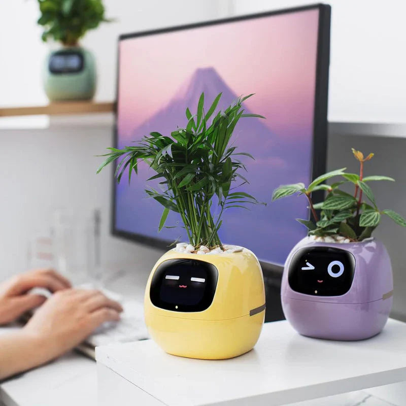 Smart Life Planter