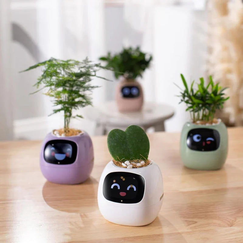 Smart Life Planter