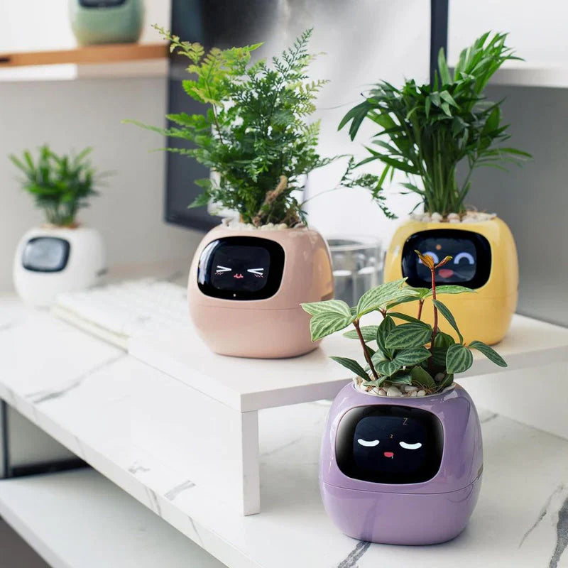 Smart Life Planter