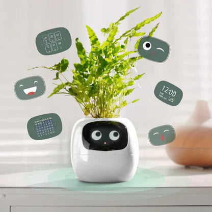 Smart Life Planter